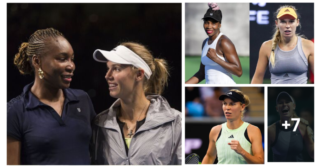 Everything you need to know why Venus Williams and Caroline Wozniacki granted Indian Wells wild cards